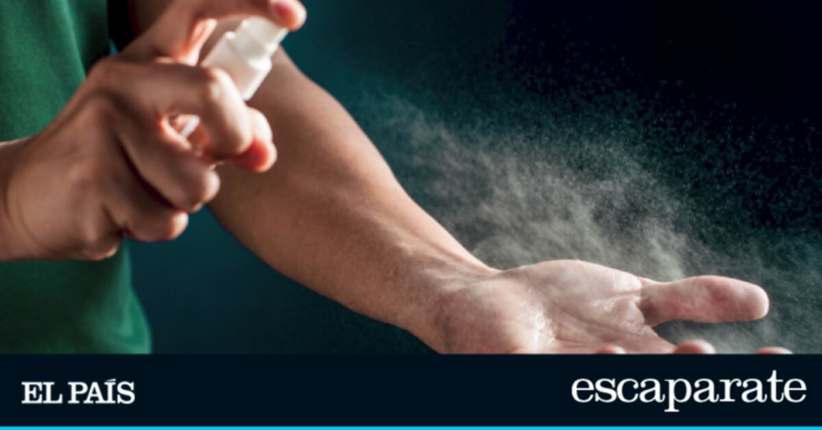 Adiós a los mosquitos en casa este verano con estos productos naturales de Amazon | Estilo de vida | Escaparate