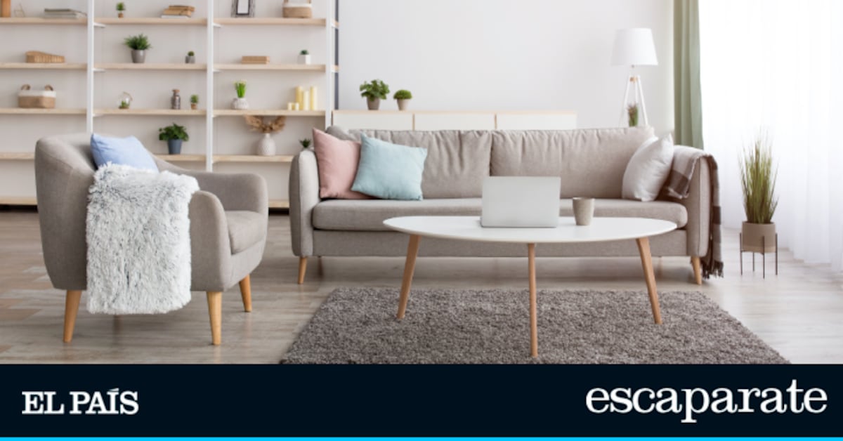 Ya están aquí las mejores ofertas de la semana en básicos para la casa de Amazon | Ofertas y descuentos | Escaparate