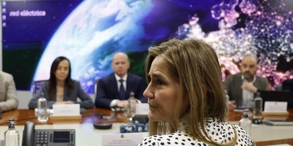 El Gobierno ya recibió los primeros avisos dos meses antes del apagón