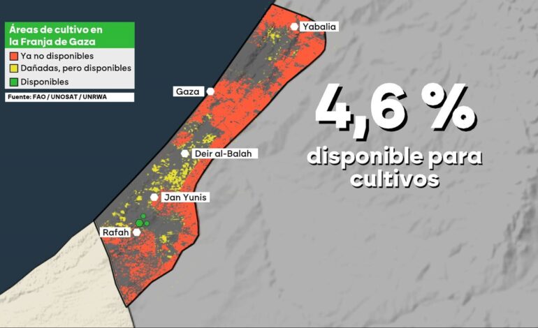 solo queda un 4,6% de terreno disponible para cultivos tras el asedio israelí