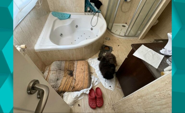 las posibles consecuencias psicológicas para los tres niños encerrados desde 2021 en la ‘casa de los horrores’ de Oviedo