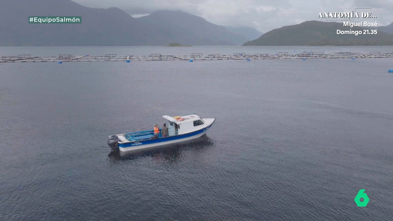 Unos pescadores acceden a mostrar a Equipo de Investigación unas granjas de salmón chileno: «¡Eso son pescados muertos!»