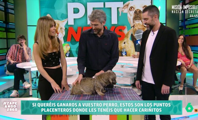 Estos son los consejos del veterinario Víctor Algra para dar mimos a nuestros perros