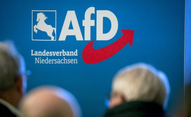 La Inteligencia de Alemania califica al partido AfD como organización «extremista» de ultraderecha