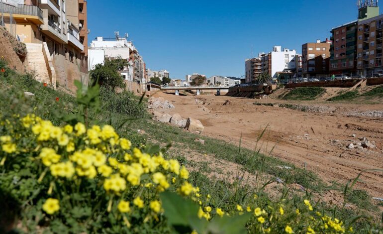 Un perito lamenta ante la jueza de la DANA que no se tuviesen en cuenta los avisos de la AEMET: "Hay que tomárselo en serio"