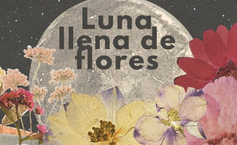 así afectará a cada signo del Zodíaco la Luna de Flores
