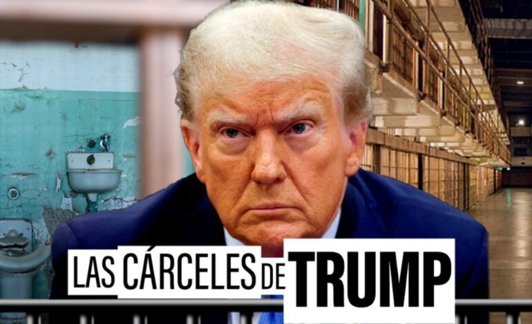 castigo y dinero, no rehabilitación