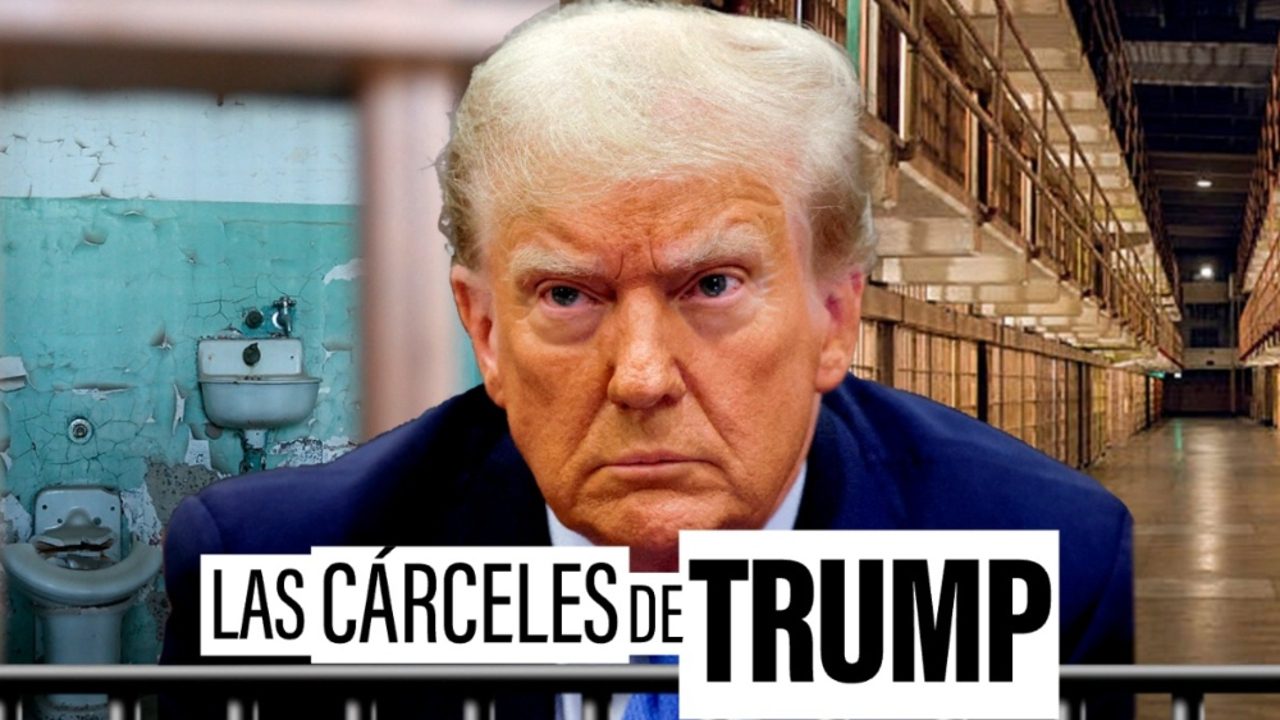castigo y dinero, no rehabilitación