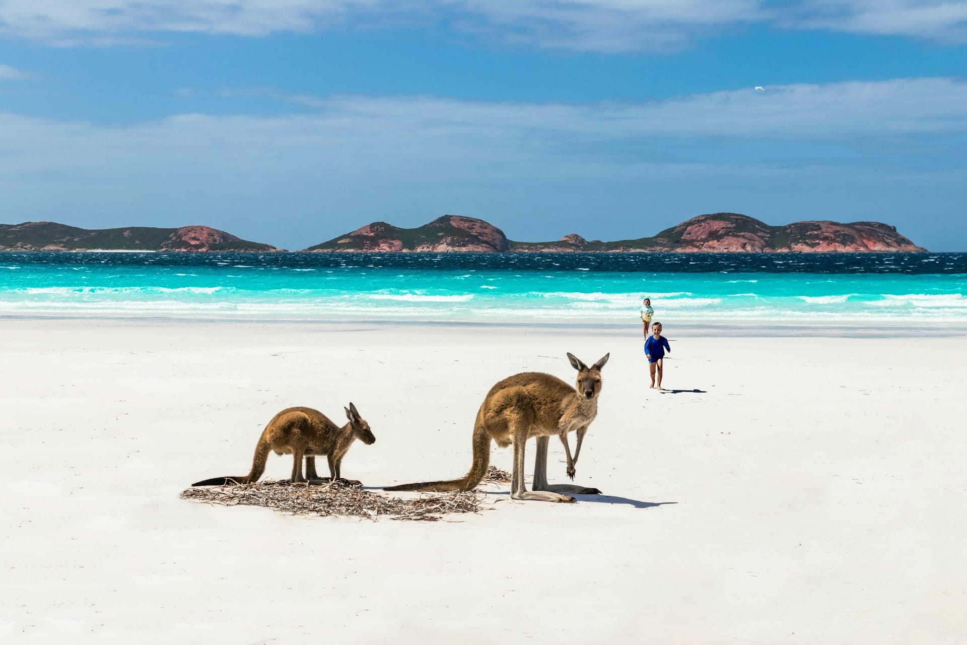 5 buenas razones para visitar Australia