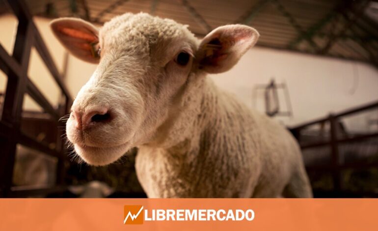 El Gobierno aprieta a los ganaderos con nuevas obligaciones y costes por el bienestar animal