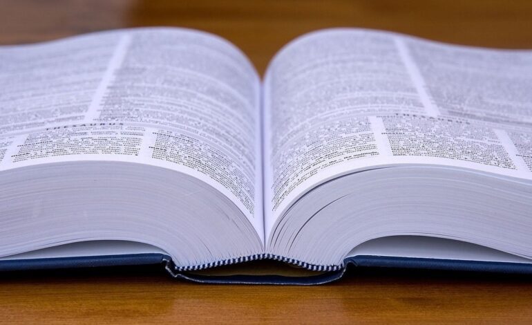 ‘Queer’, ‘faraona’, ‘cuñadismo’ y otras palabras que entraron de forma sigilosa en la RAE
