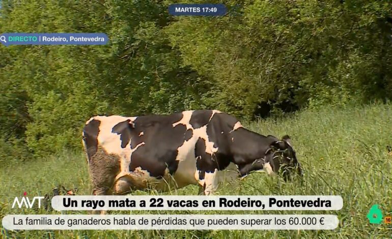 su dueña se salvó de milagro