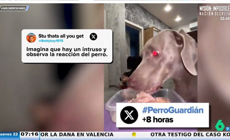 ¿Te salvaría tu perro en el caso de que entraran ladrones en tu casa? La nueva tendencia viral que pone a prueba a nuestras mascotas