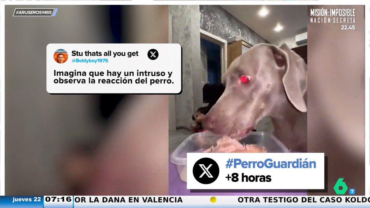 ¿Te salvaría tu perro en el caso de que entraran ladrones en tu casa? La nueva tendencia viral que pone a prueba a nuestras mascotas