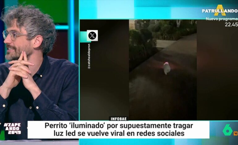 Víctor Algra explica qué hacer si nuestra mascota se come algo que no debe: "Pueden acabar en un quirófano"