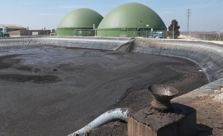 Por qué una planta de biogás en vertederos se puede construir en 12 meses y las de purines de cerdos tardan más de 3 años