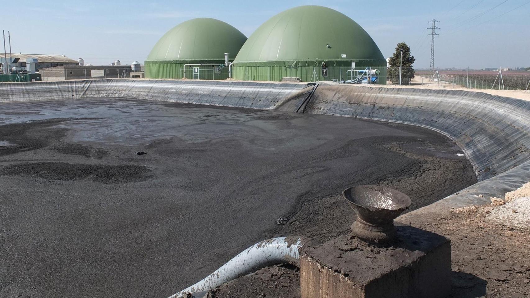 Por qué una planta de biogás en vertederos se puede construir en 12 meses y las de purines de cerdos tardan más de 3 años