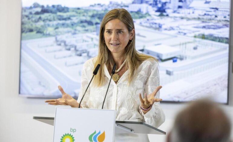agilizar el desarrollo renovable o lanzar las subastas para las baterías