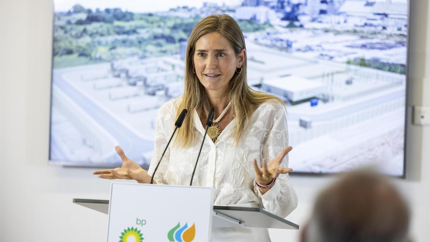 agilizar el desarrollo renovable o lanzar las subastas para las baterías