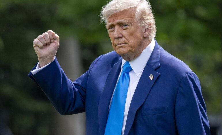 Trump acude al gigante de la vigilancia Palantir para amasar un poder sin precedentes en Estados Unidos