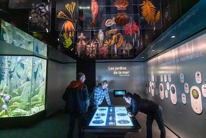 Instalación del Museo del Sea en Cherburg (Francia).