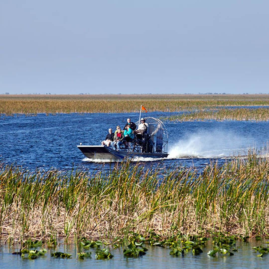 Parque Nacional Everglades, Miami, Estados Unidos