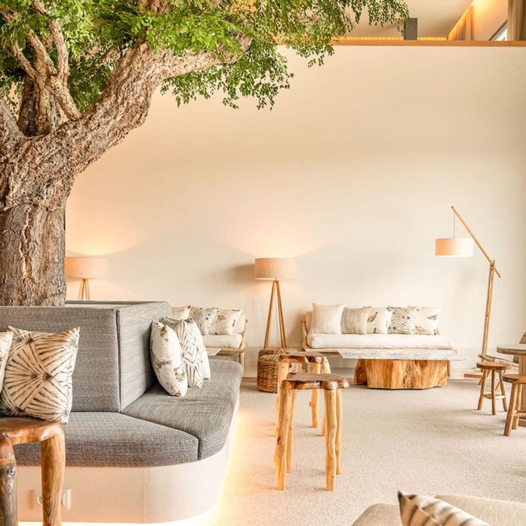Evora, Alentejo, Portugal Octant Hotel
