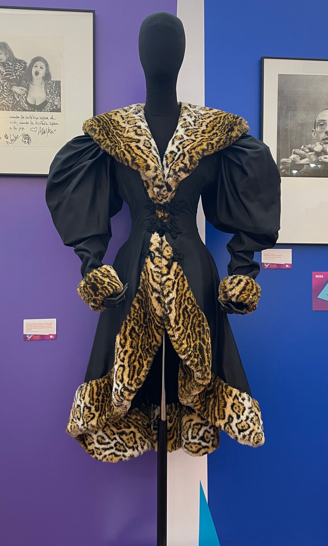 Alaska regresa a la exposición 