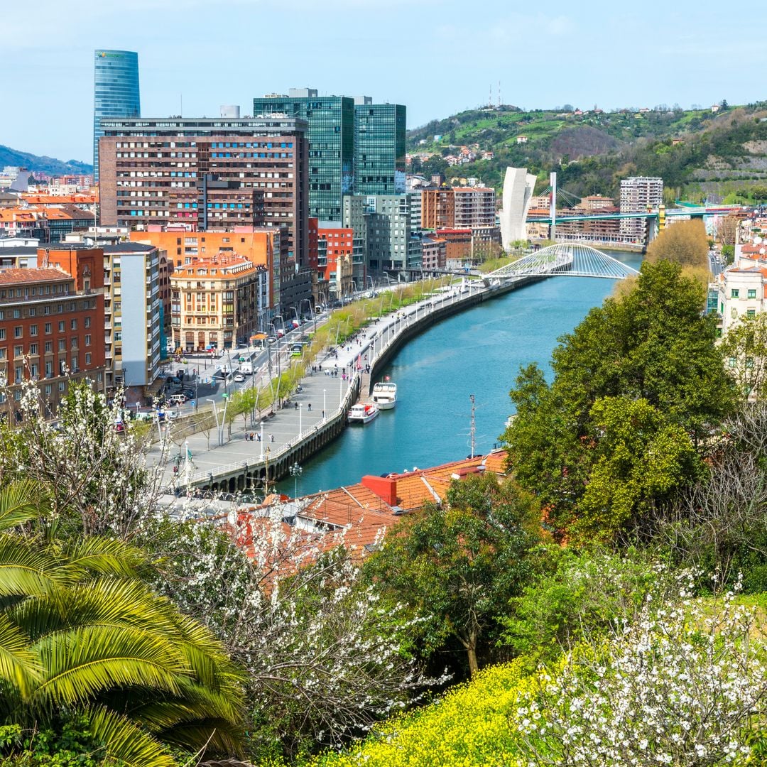 Vista de Bilbao desde Park Etxebarria