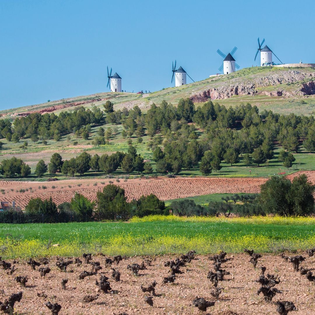 Criptana Field Vineyards and Mills, Ciudad Real