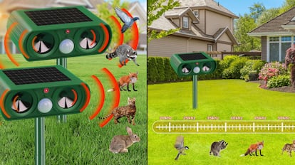 Mejores gatos con un área de acción de hasta 15 metros.