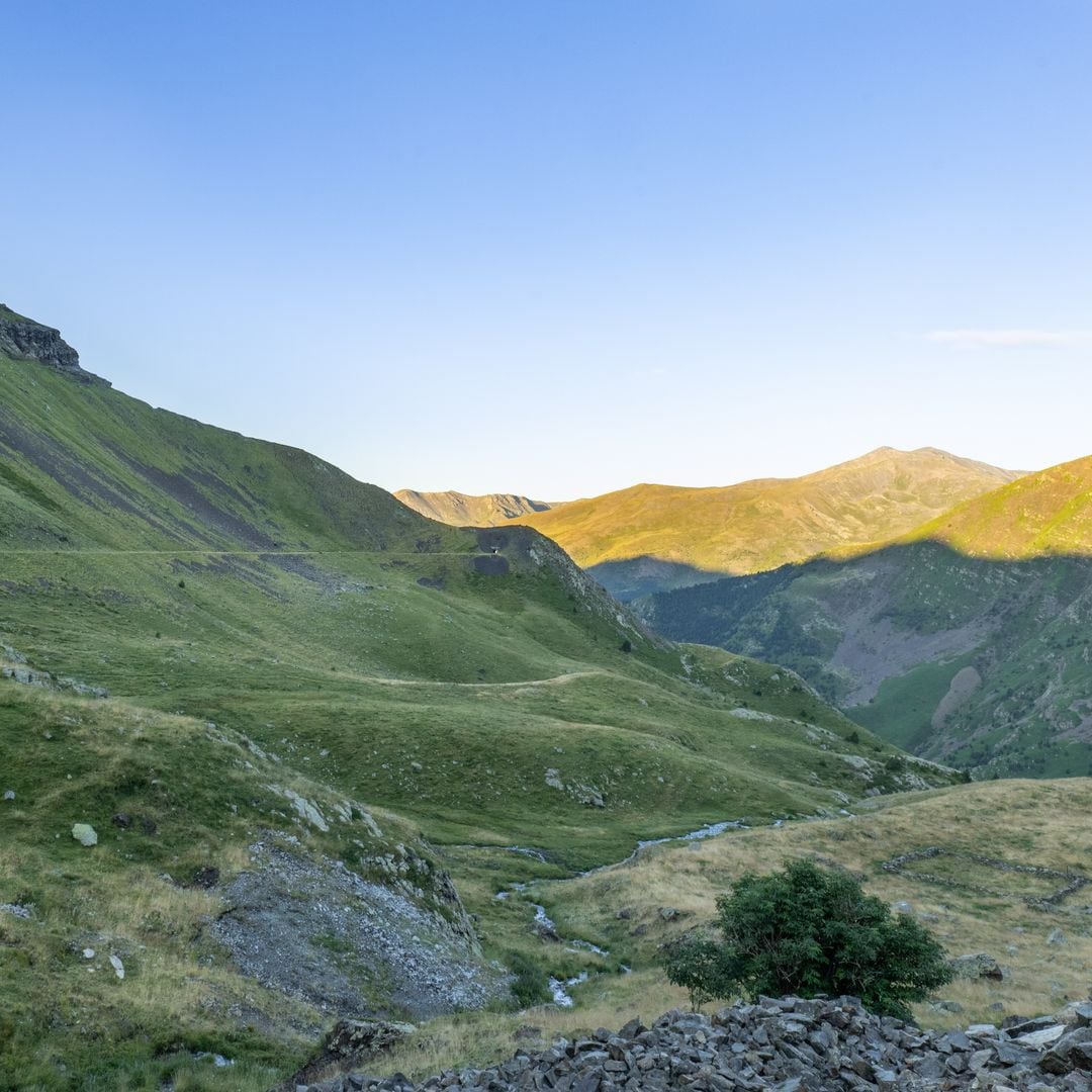Verde Del Carrera, Lleida