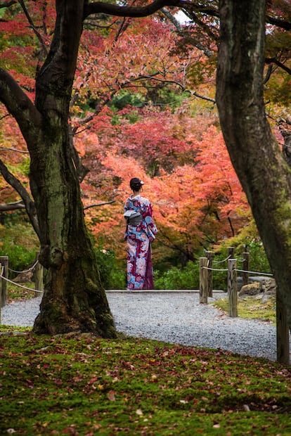 Caída en el templo Tofukuji.