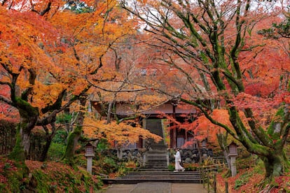 Los colores rojos del otoño son los protagonistas del Templo de Eikan-Do Zenrin-Ji en Kioto (Japón).