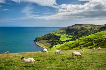 El paisaje que se puede ver desde Torr Head.