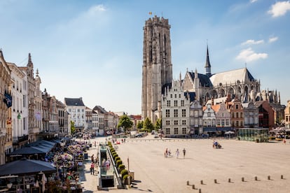 Caballo inicial entre Bruselas y Amberes, la cómoda ciudad de Mesa se desborda con herencia y actividades para jugar con la familia.