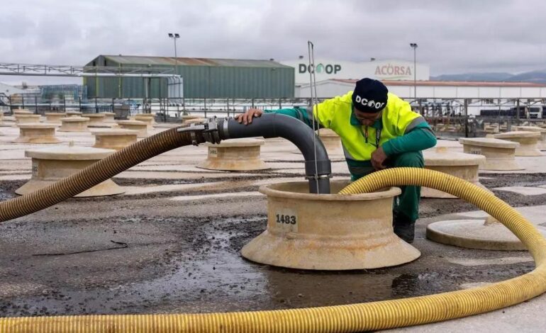 Dcoop estudia la compra total de Pompeian, líder en aceite de oliva en EEUU
