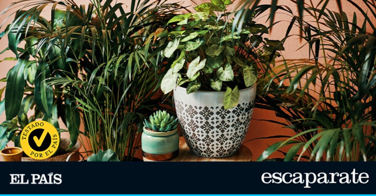 Los mejores jardines inteligentes para cultivar tu huerto en casa | Escaparate: compras y ofertas