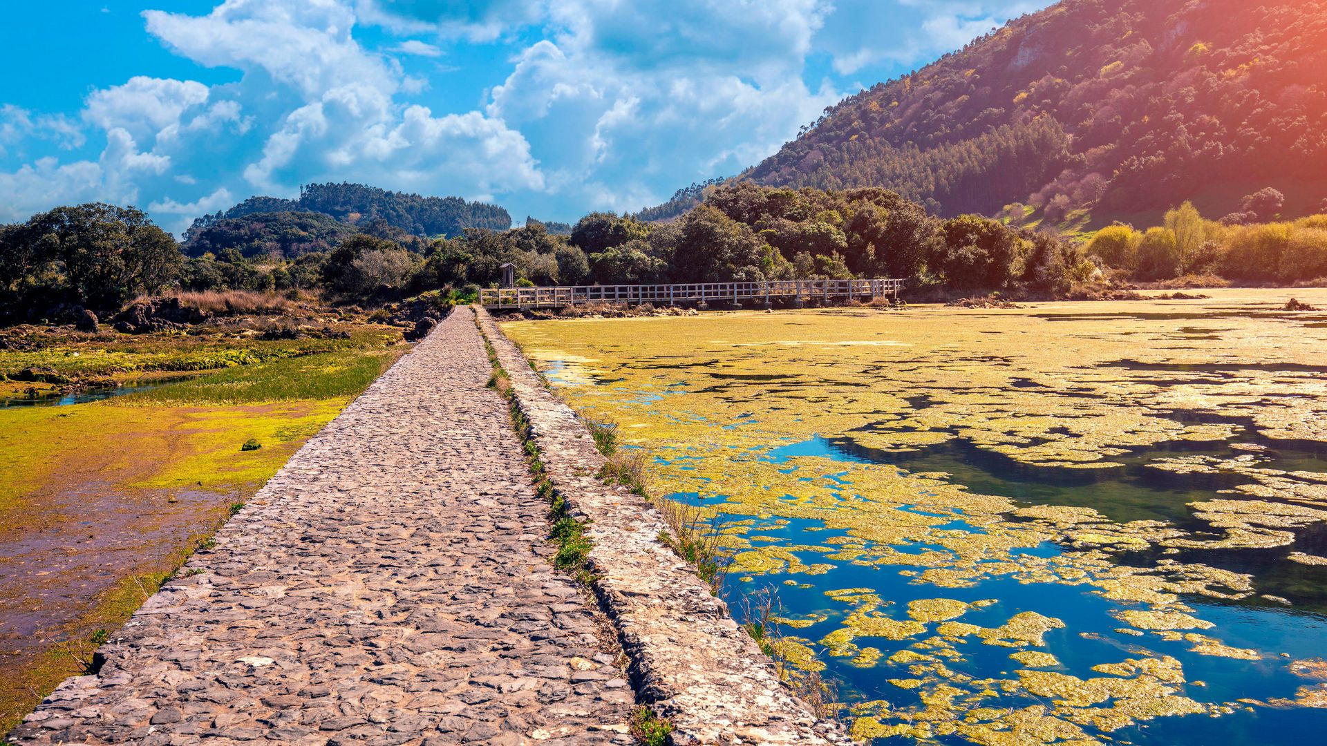 Joyel, Arneuro, Parque Natural de Marshs Cantabria