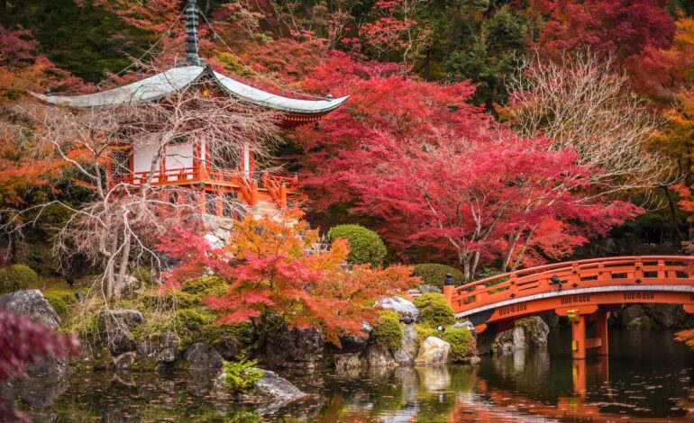 Noviembre en Japón: un viaje para contemplar el ‘momiji’ antes de que acabe el año | Viajes | El Viajero