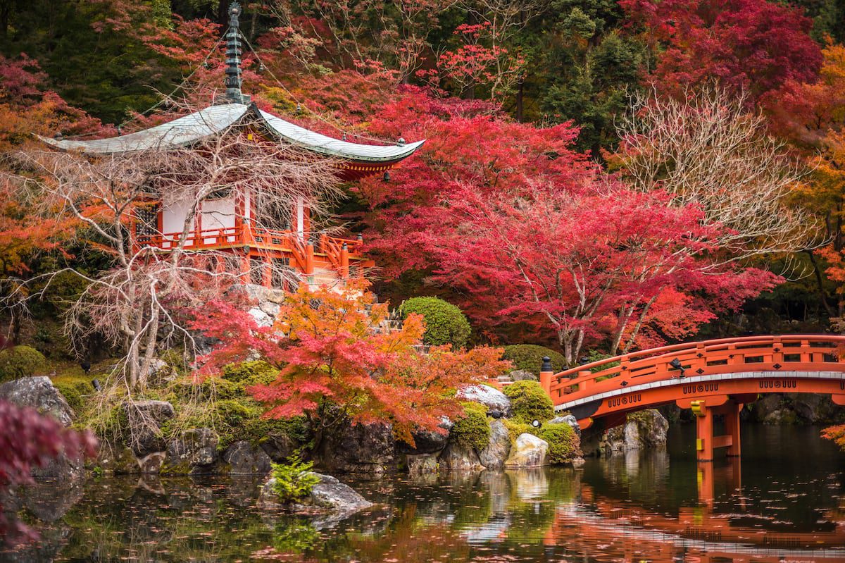 Noviembre en Japón: un viaje para contemplar el ‘momiji’ antes de que acabe el año | Viajes | El Viajero