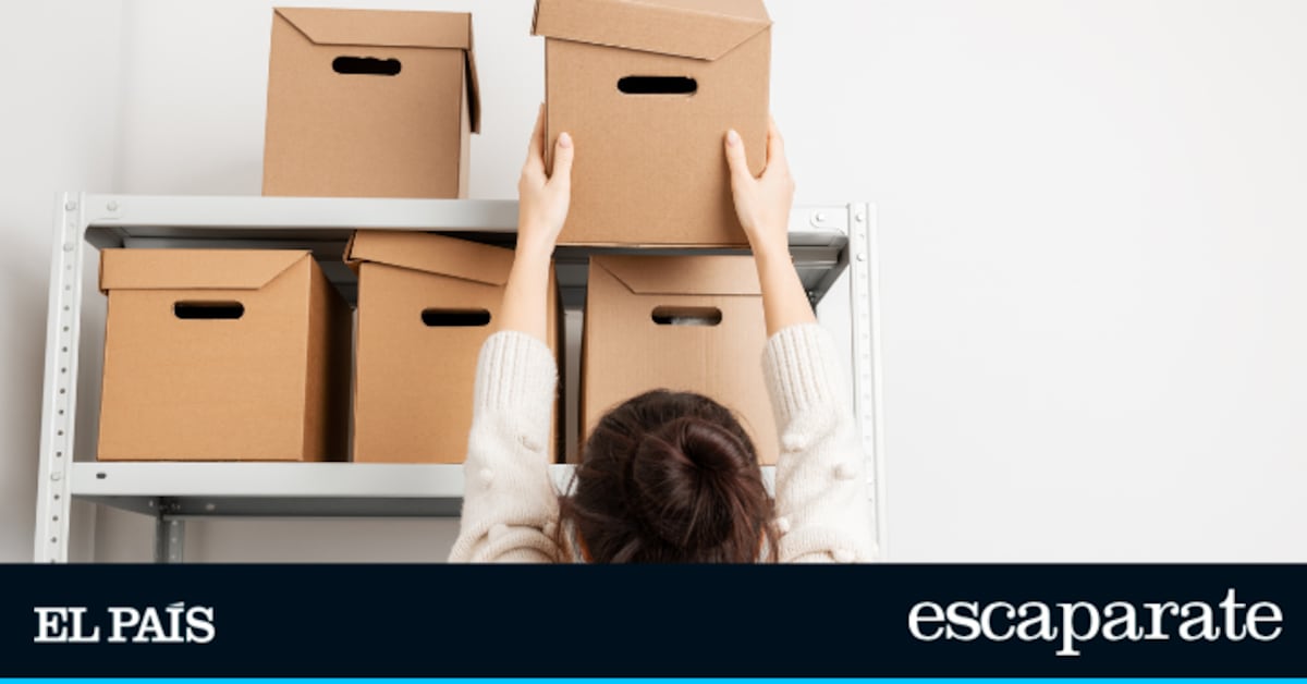 Ten tu trastero, garaje o sótano siempre organizados con la estantería superventas que no necesita tornillos | Lo más vendido | Escaparate