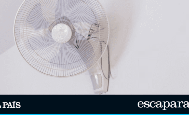 Moderno, flexible y fácil de instalar: disfruta de un flujo de aire refrescante con este ventilador de pared superventas | Lo más vendido | Escaparate