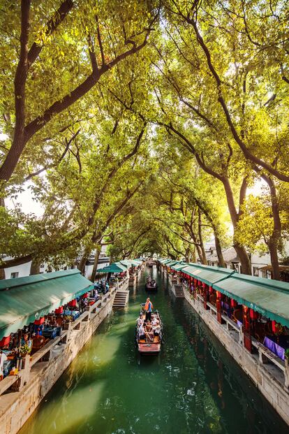 Canales tongli.