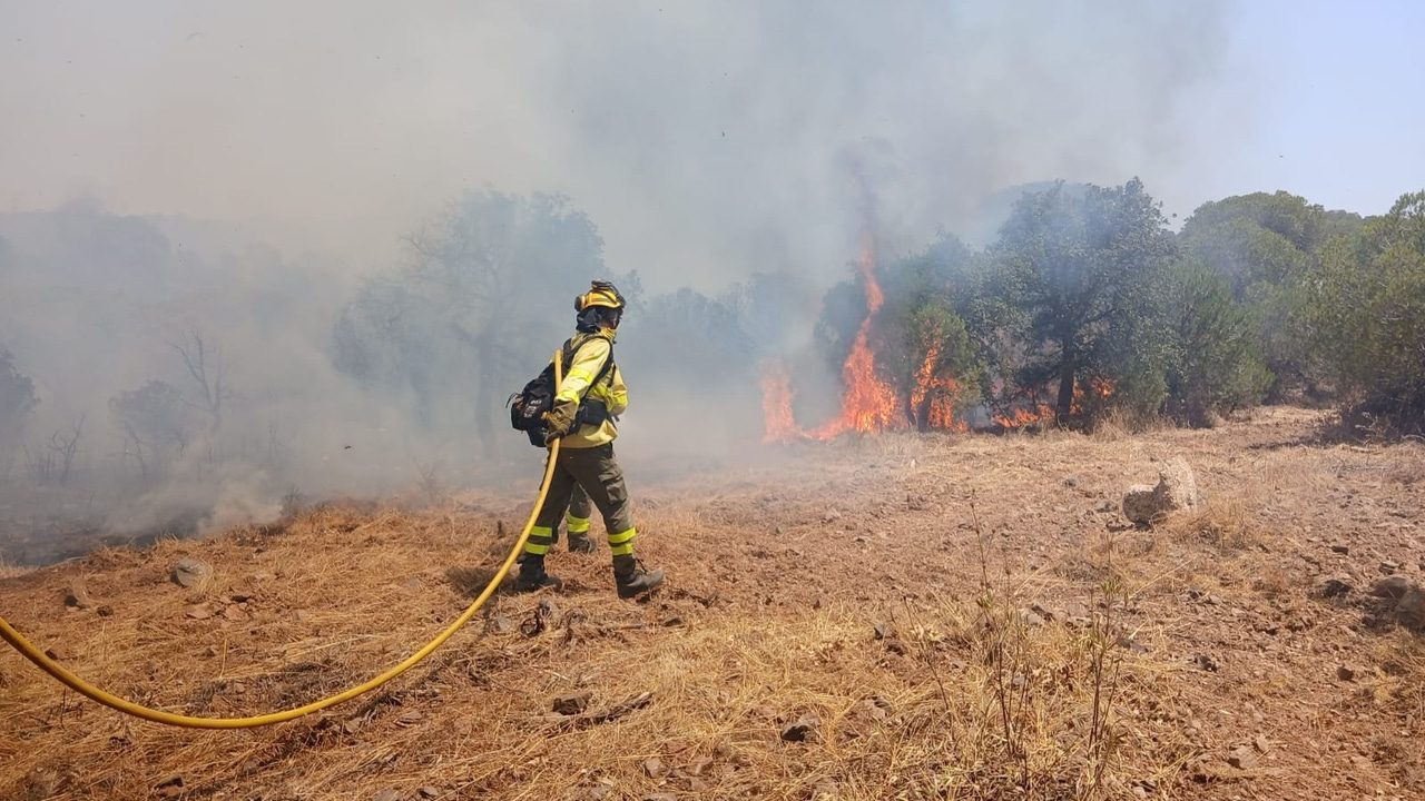 La primera ola de calor dispara el riesgo de incendios forestales en casi toda España