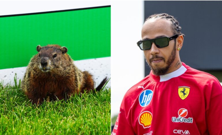 La surrealista razón de la falta de rendimiento de Lewis Hamilton en Canadá: ¡Atropelló a una marmota!