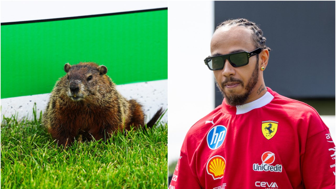 La surrealista razón de la falta de rendimiento de Lewis Hamilton en Canadá: ¡Atropelló a una marmota!