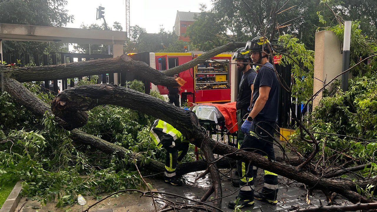 Una mujer, en estado grave tras caerle encima un árbol en Madrid