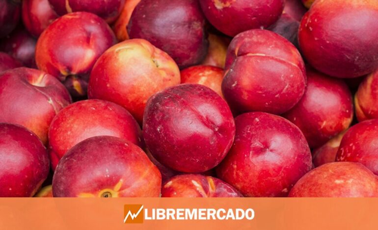 Multa de hasta 288.000 euros para un agricultor por plantar nectarinas con copyright