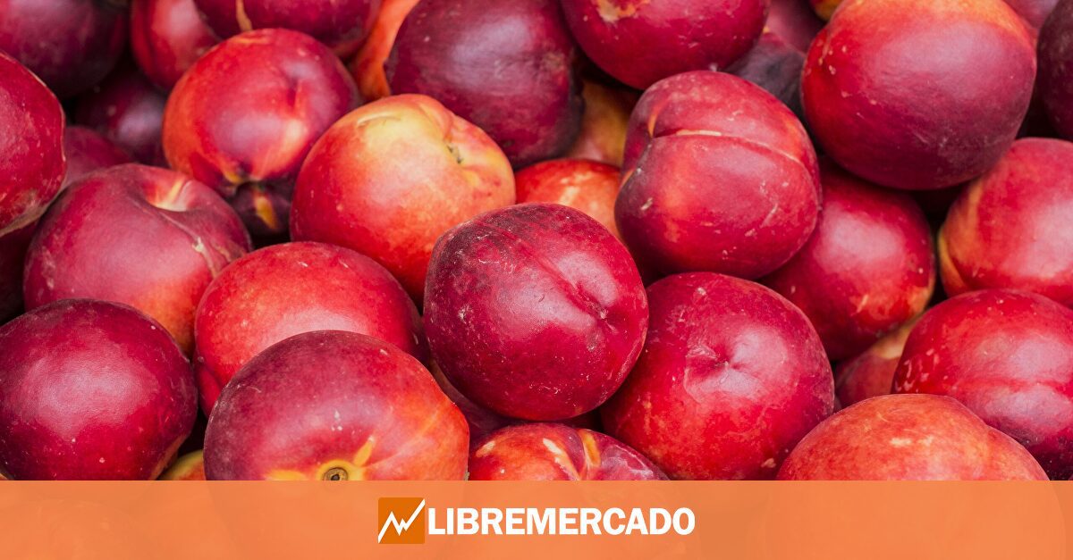 Multa de hasta 288.000 euros para un agricultor por plantar nectarinas con copyright